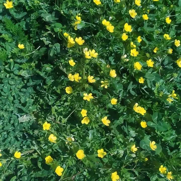 Img 20250622 wa0018