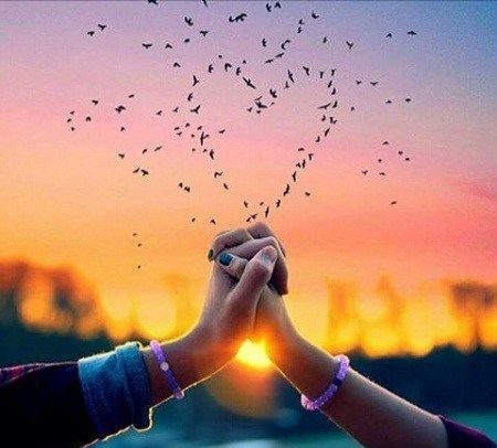 Img ٢٠٢٥٠٦٢٢ ١٨١٩٠٣