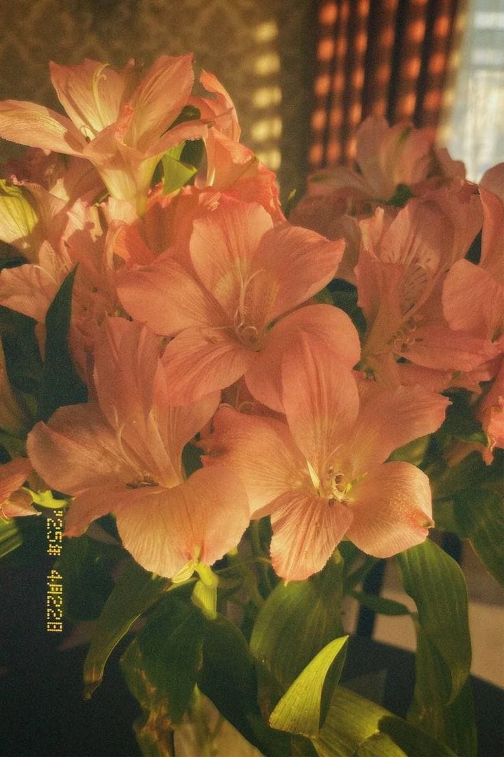 WhatsApp Image 2025 11 20 at 10.17.45 PM