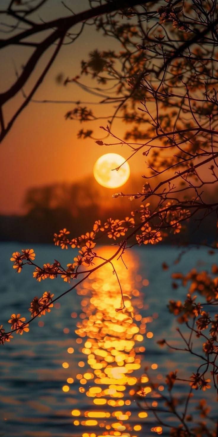 C6adeeb7 5644 4508 9cca dc546ea968e9