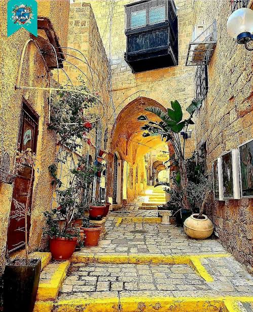 D86dab0f 4cc6 4875 b3e3 0bab3029cbf0