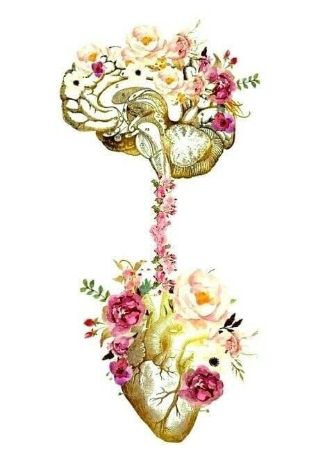 606c4c9d 32e7 471e 94dc cbbe26abe93c