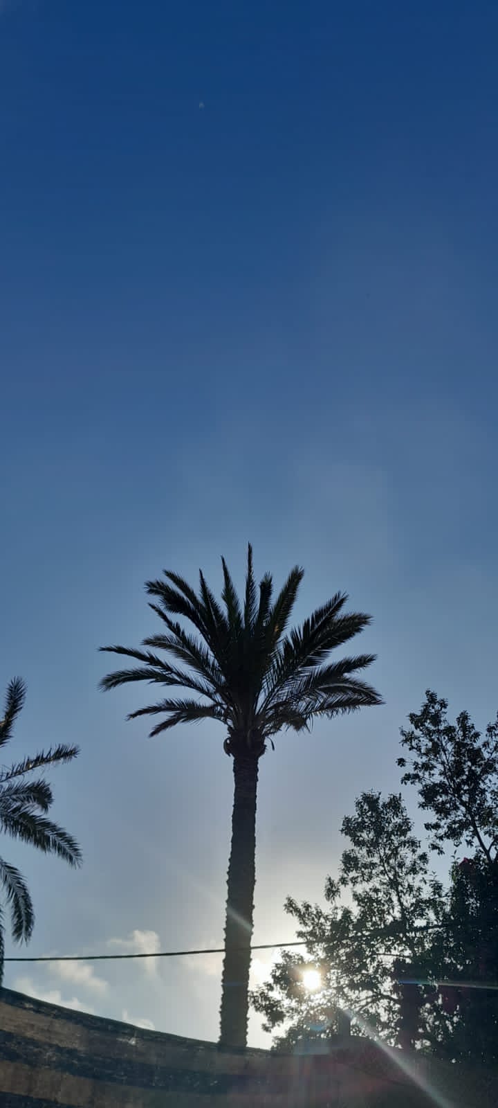 Img 20250703 wa0070