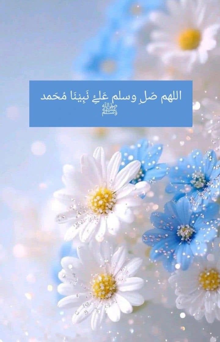 Img 20250731 wa0008