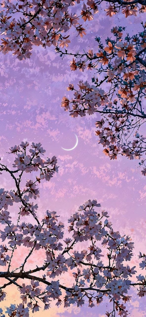 Baf9f981 5944 4c97 b26e 498514fad11d