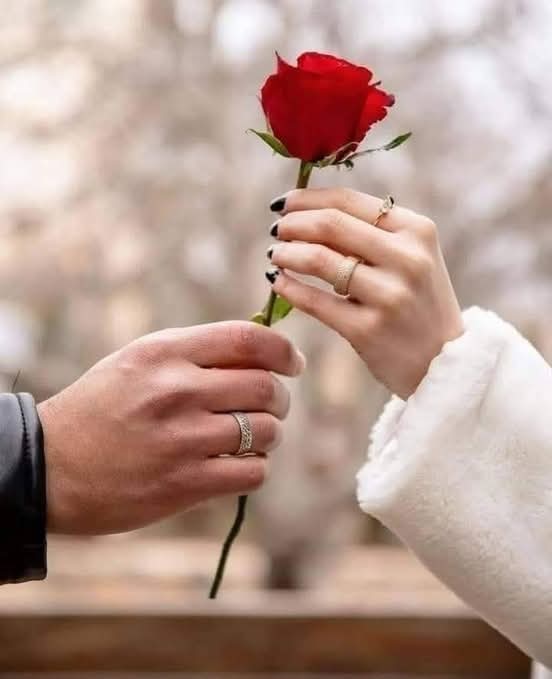 E8f176f1 296f 4df7 8821 d5fc4bb1da14