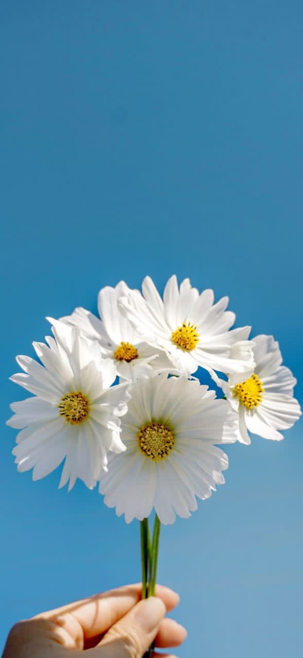 Img 20250712 wa0020