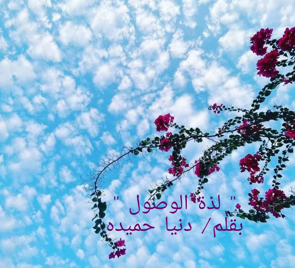 Img 20250804 wa0003