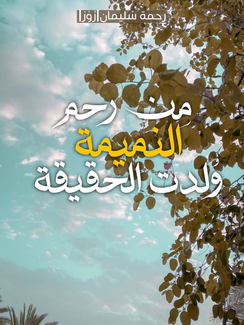 Img 20250821 wa0015