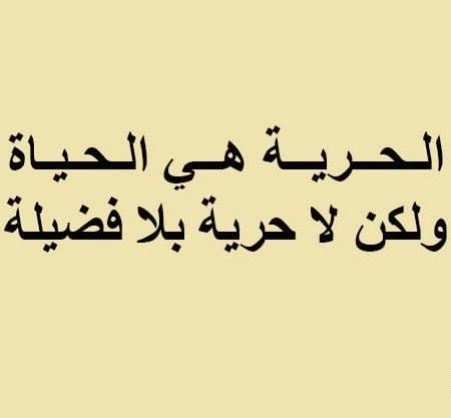 Img ٢٠٢٥٠٨٢٤ ٢١٠١٠٢