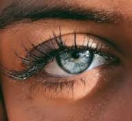 Img ٢٠٢٥٠٨٢٧ ٢٣٠١٥٠