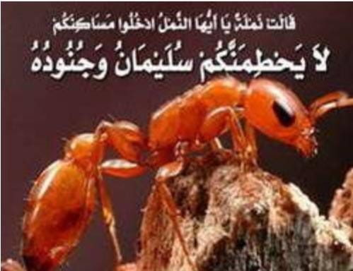 Img ٢٠٢٥٠٨٢٧ ٢٣٣٨٢١