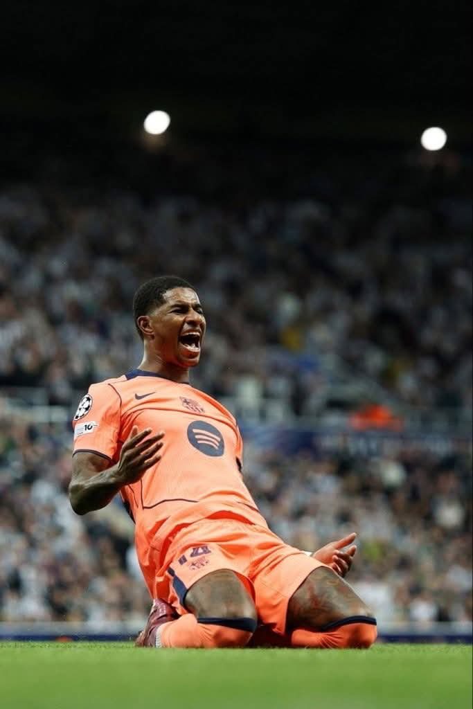 5c000f91 b52c 4038 a074 1120fcdbb8cb