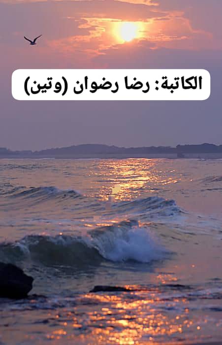 Img 20250917 wa0802(1)