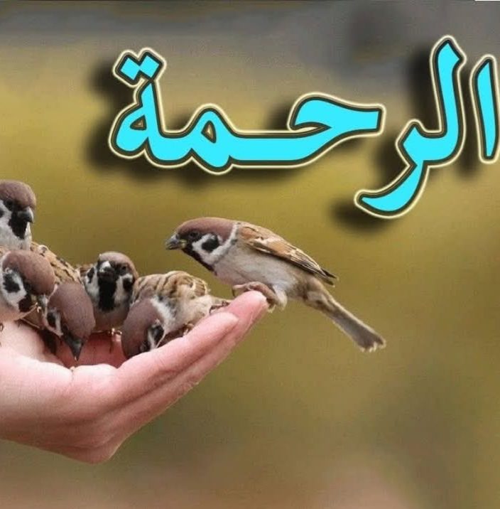 Img ٢٠٢٥٠٩٢١ ١٣٣١٢٨