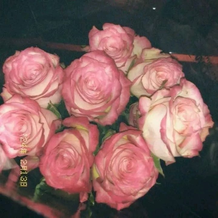 Img 20251016 wa0110