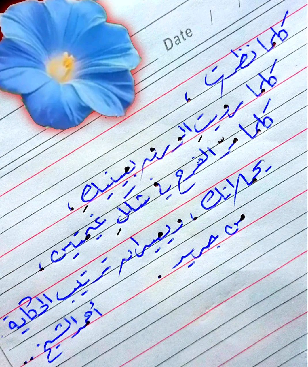 Img 20251019 wa0113