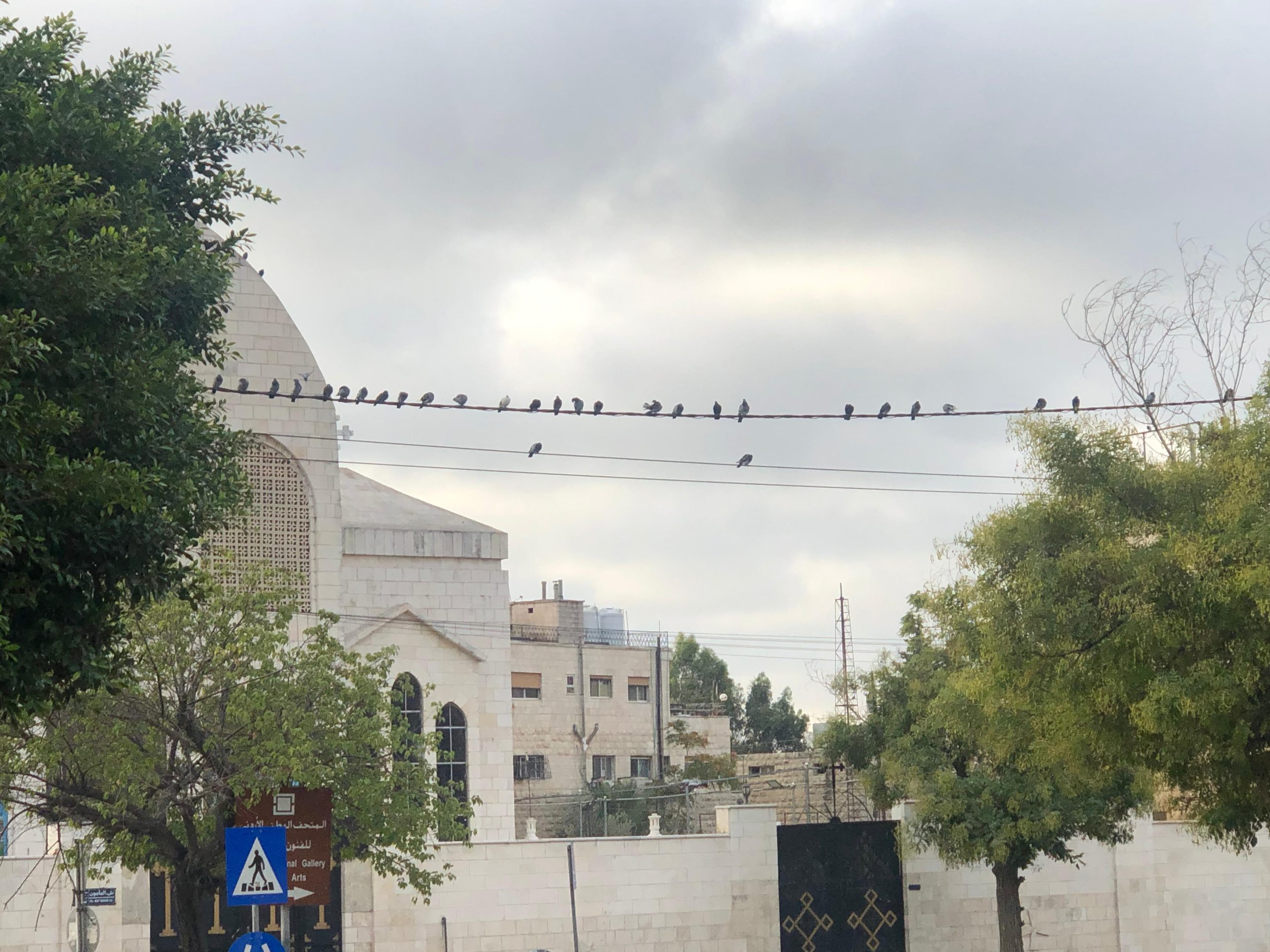 Img 20251026 wa0069