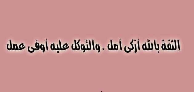 IMG 20251116 WA0033