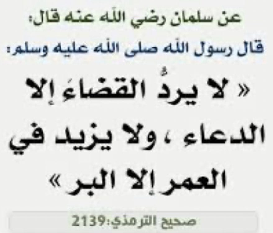 IMG 20251210 WA0028(1)