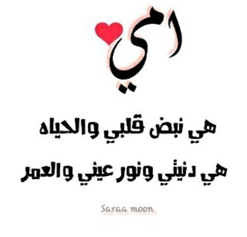 IMG 20251215 WA0075