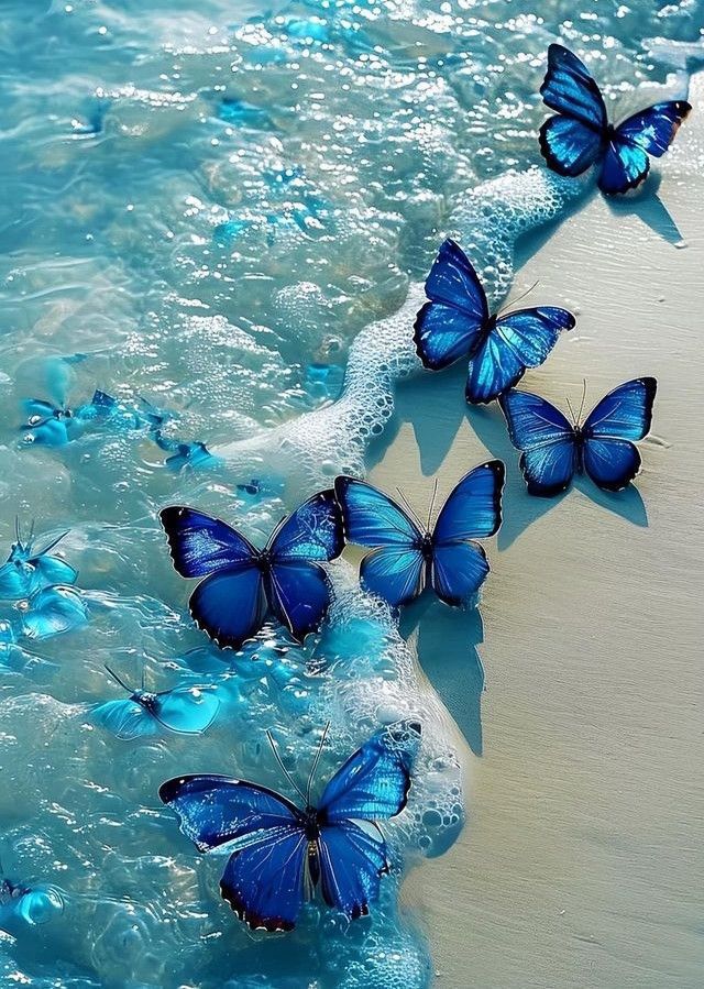 IMG 20251218 WA0006(1)