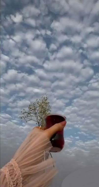 IMG 20260126 WA0030