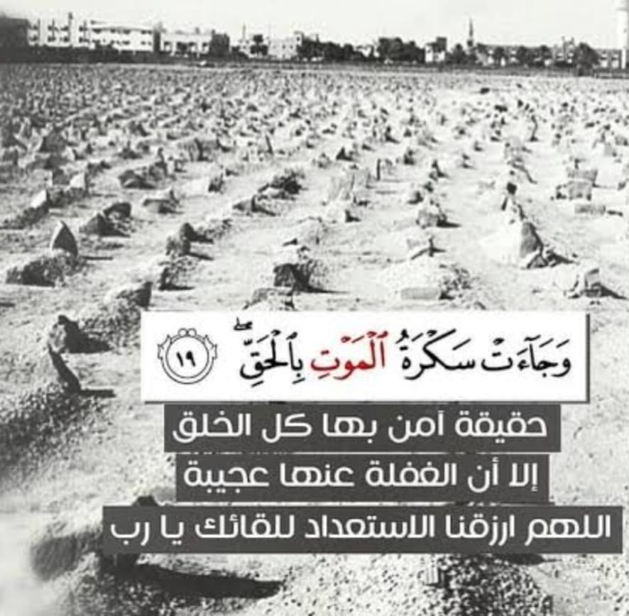 IMG 20260129 WA0161