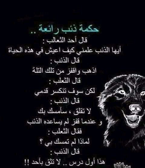 IMG 20260206 WA0022