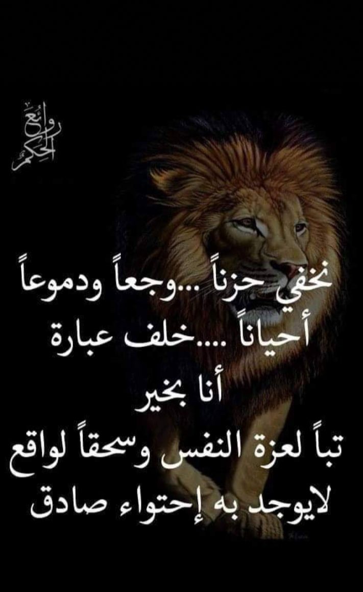 IMG 20260210 WA0107
