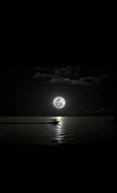 IMG 20260215 WA0135
