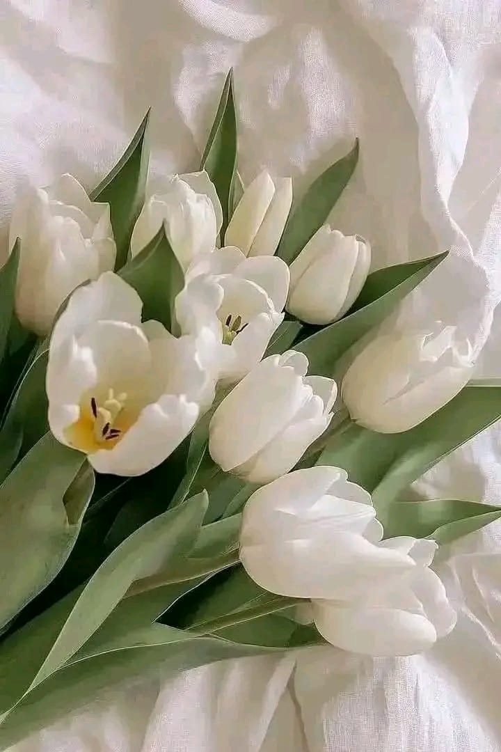 IMG 20260224 WA0030