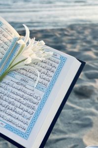 شاطئ اليقين: صراع الموج وسكينة الآية