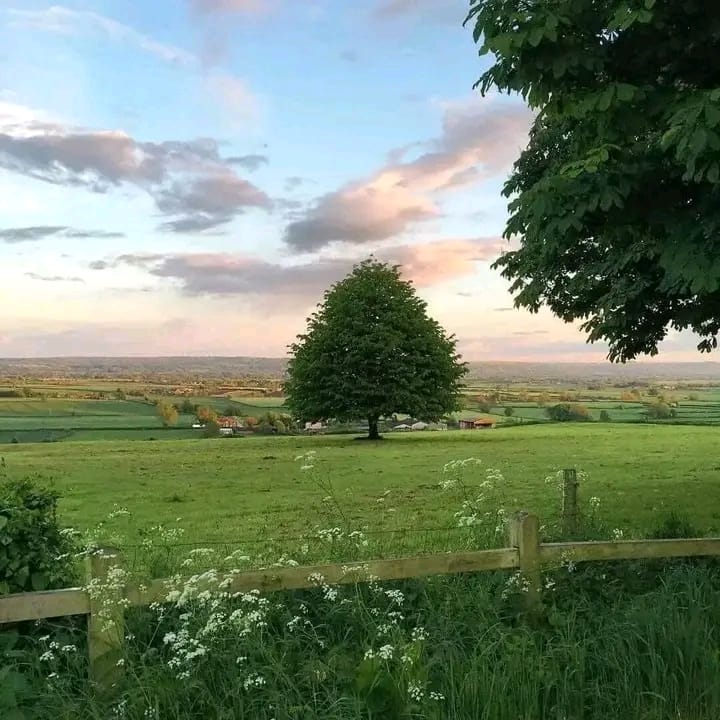 IMG 20260316 WA0009