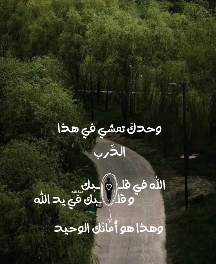 IMG 20260406 WA0111