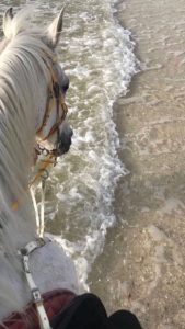 الصحه النفسيه، وطرق الوقاية