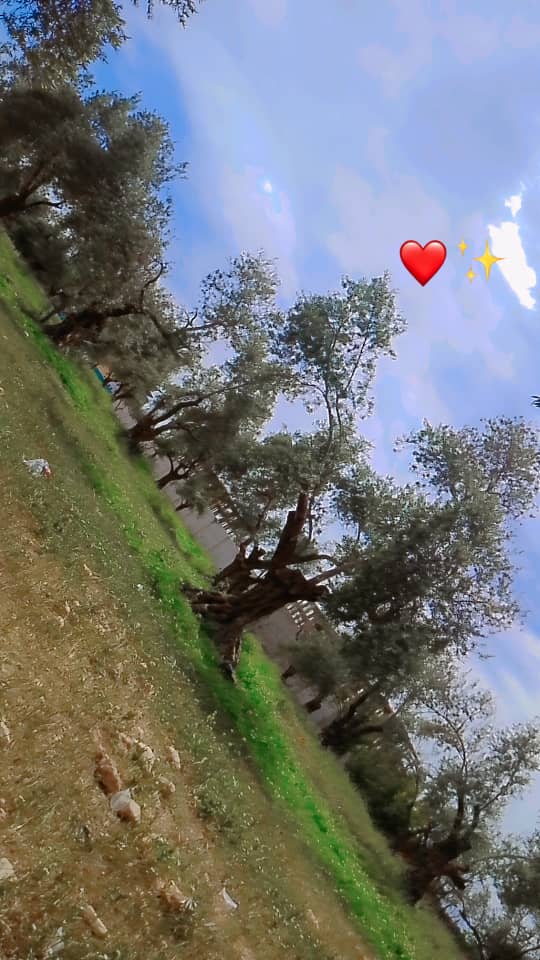 IMG 20260504 WA0031