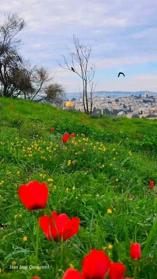 IMG 20260514 WA0020