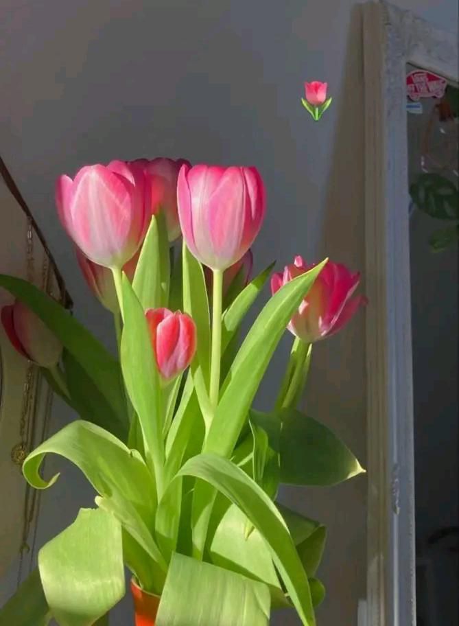 IMG 20260531 WA0026