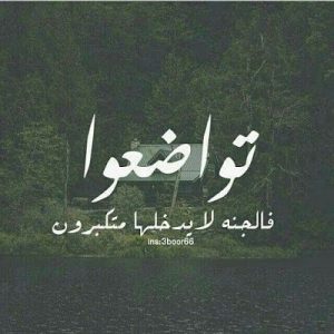 بين الكفاءة والوساطة.. رسالة لا تُرى