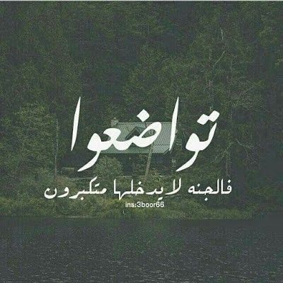 IMG 20260602 WA0049