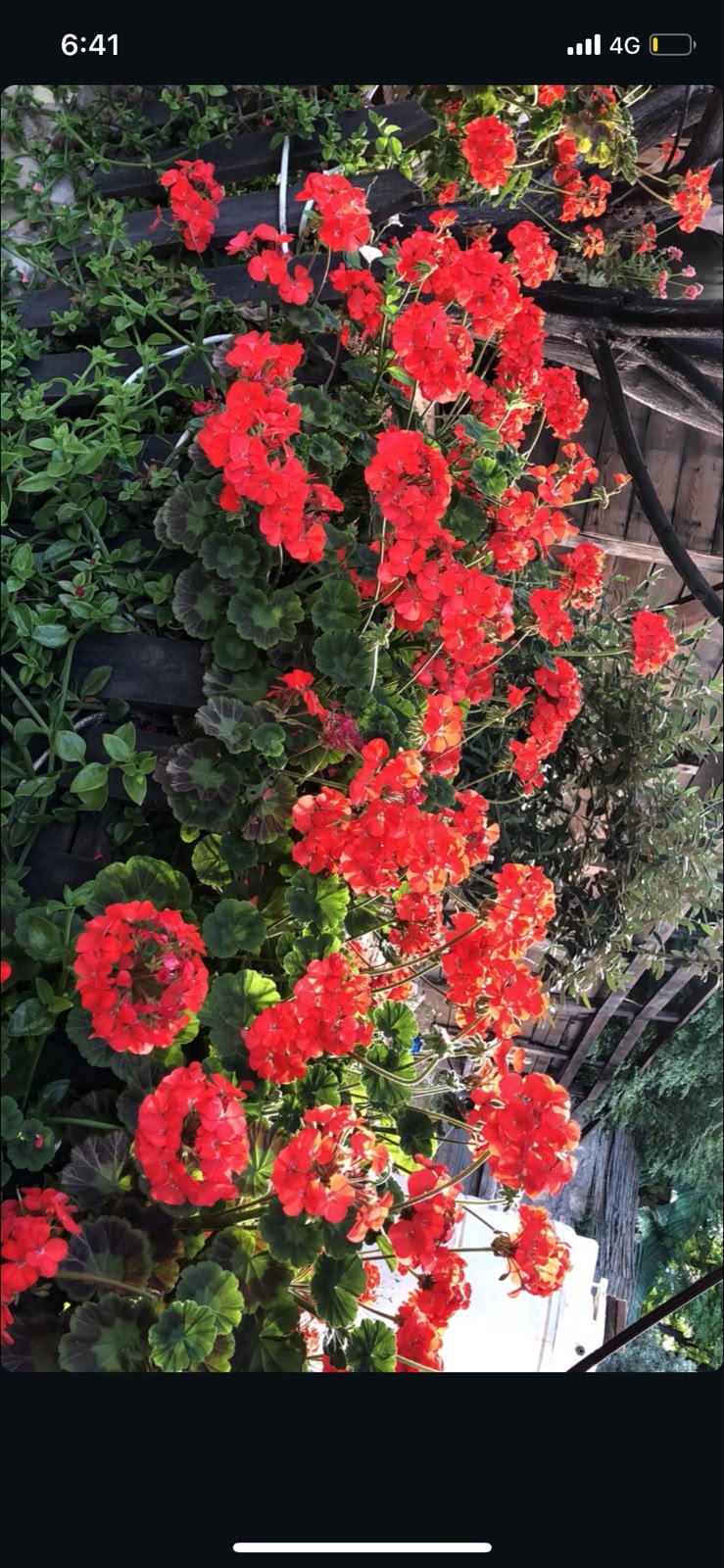 IMG 20260607 WA0100