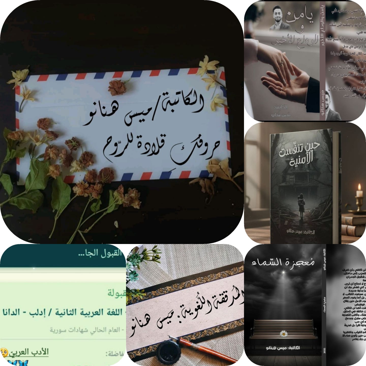 IMG 20260608 WA0008