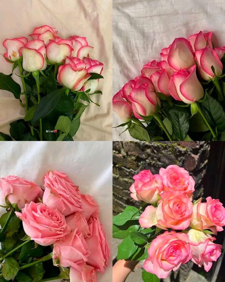 IMG 20260708 WA0148