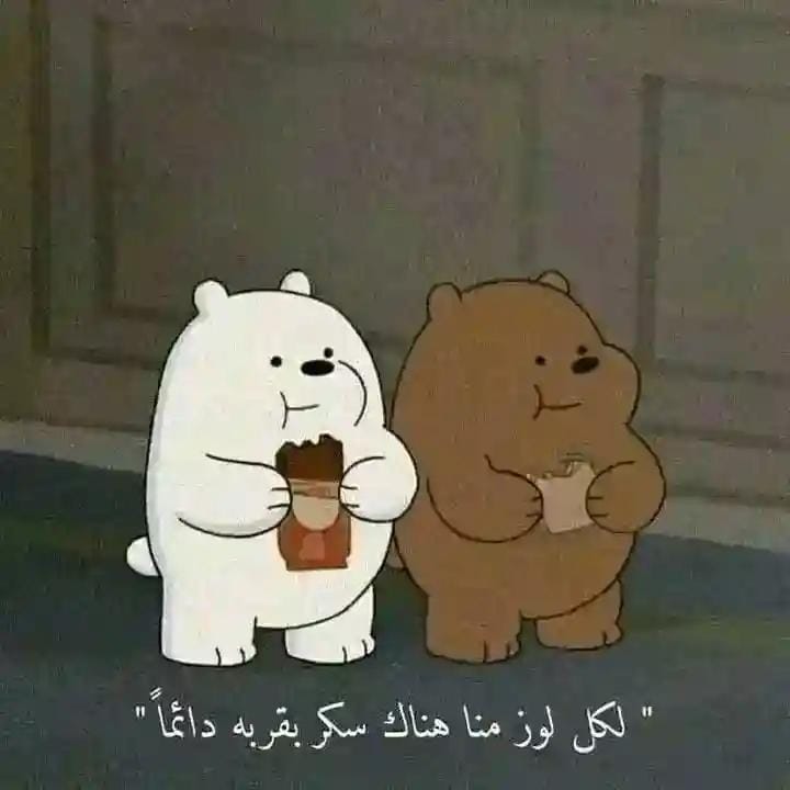IMG 20260810 WA0010
