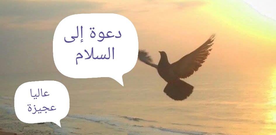 IMG 20260827 WA0056