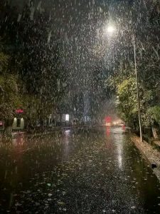 كأسُ دماءٍ