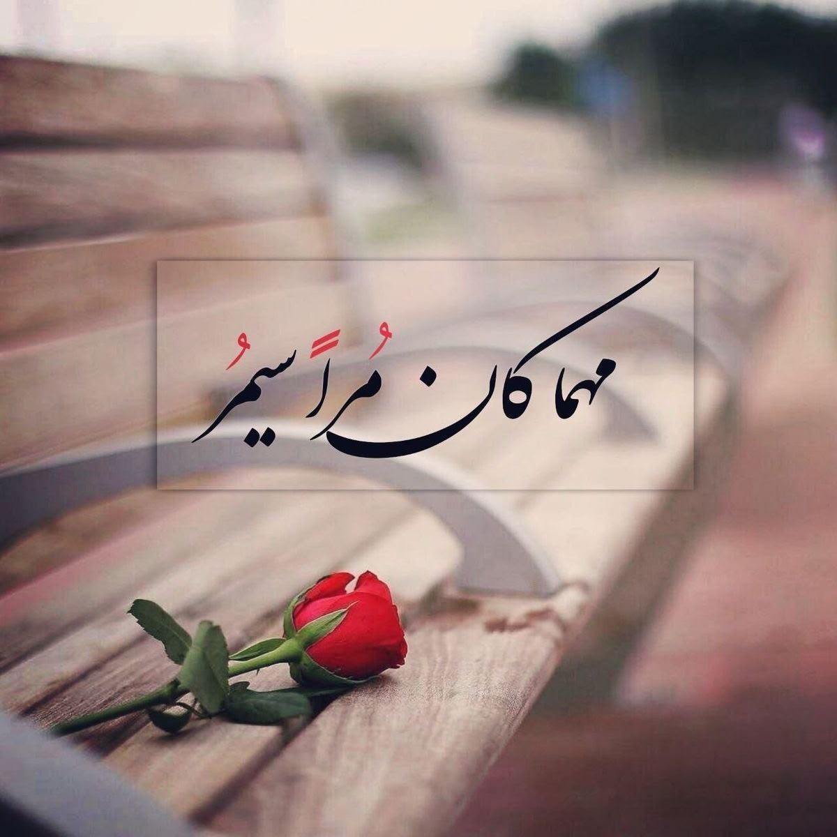 IMG 20260921 WA0005
