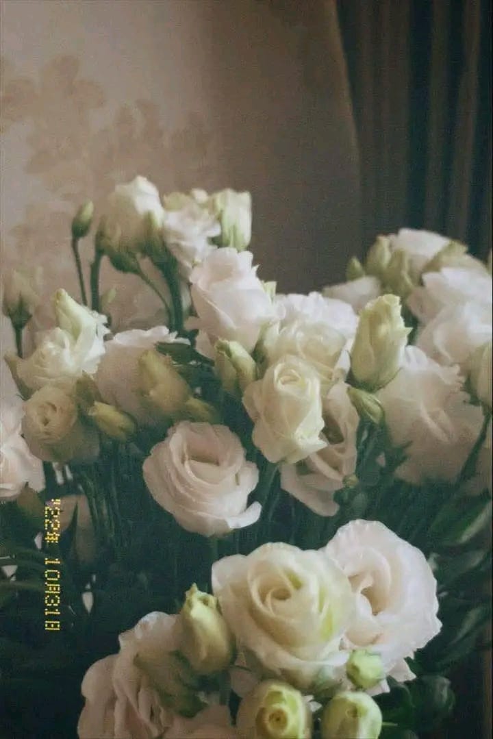 IMG 20261021 WA0023(1)